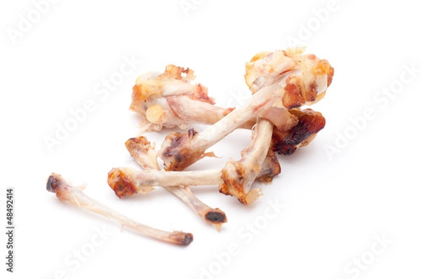 Obraz Chicken Bones