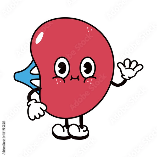 Fototapeta Cute funny spleen waving hand character. Vector hand drawn traditional cartoon vintage, retro, kawaii character illustration icon. Isolated on white background. Spleen character concept