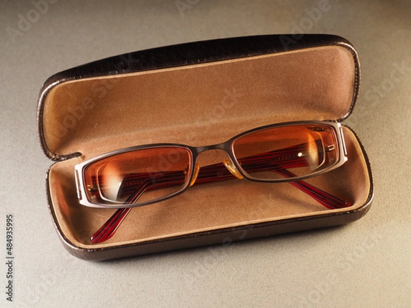 Obraz chameleon glasses in a dark case