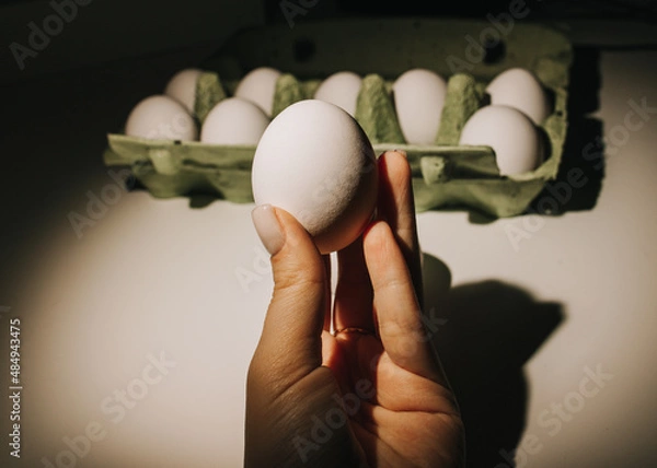 Obraz chicken eggs white