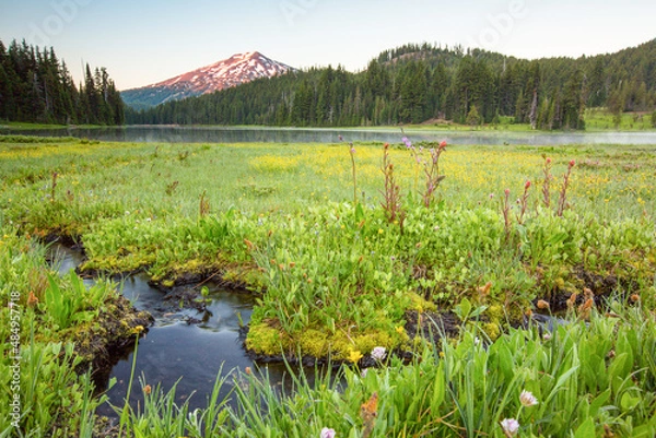 Obraz A stream runs to it