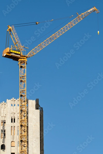 Fototapeta Yellow Crane