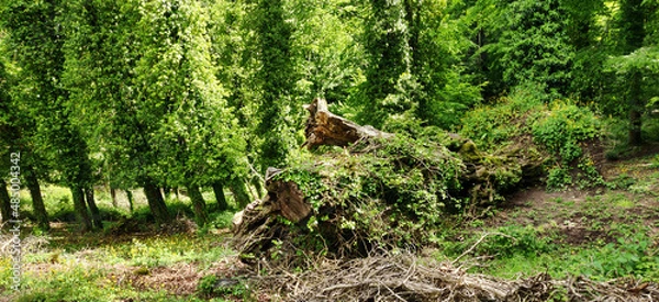 Obraz Italy Landscale