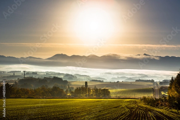 Obraz 10月の北海道、夜明けの美瑛・日本