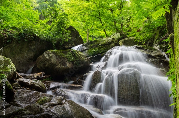 Obraz 福井県美浜町新庄にあるしだれの滝
