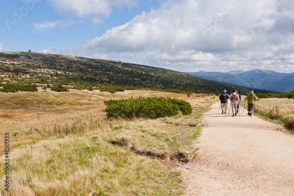 Obraz Wandern Spindlermühle