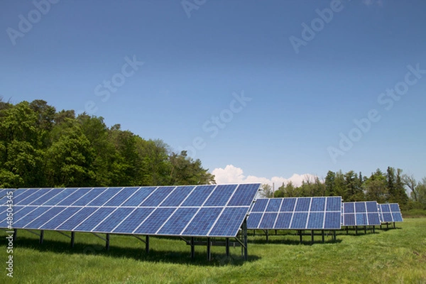 Obraz Park słoneczny 2