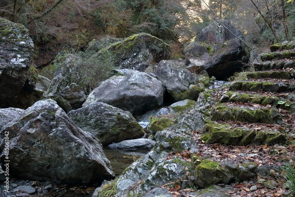 Fototapeta 岩屋川渓谷　散策　（高知県　仁淀川町）
