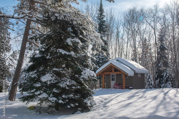 Obraz Cabin in the snow