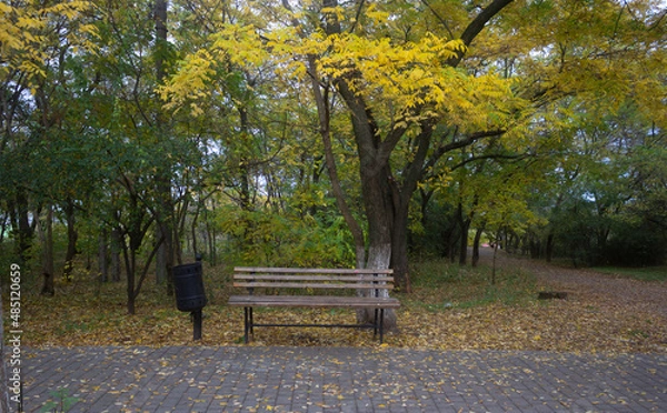 Obraz bench in autumn park