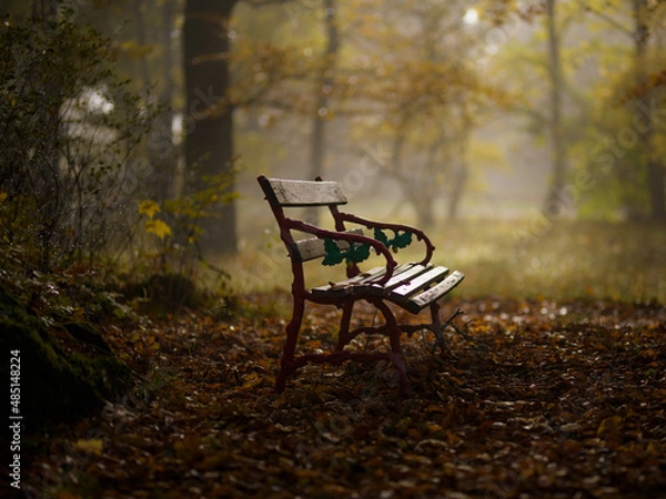 Obraz Herbst - Autumn