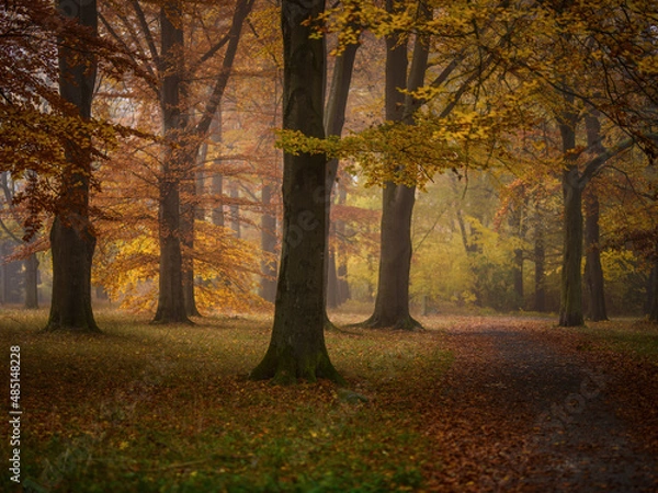 Obraz Herbst - Autumn