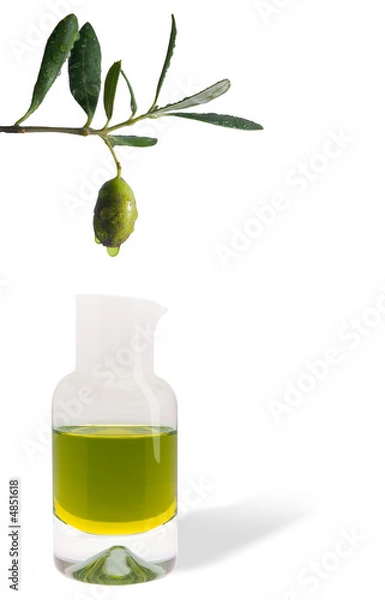 Obraz oliva con ampolla