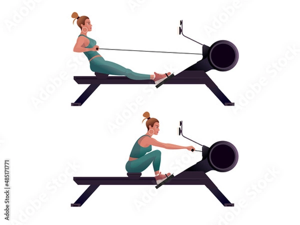 Fototapeta Girls train on a rowing machines. Isolated Vector illustration for landing page mockup flat design or advertising banner.