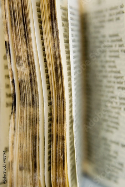 Fototapeta old dictionary series