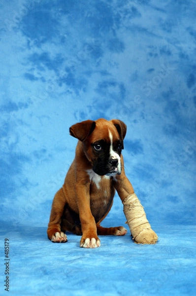 Obraz get well soon...