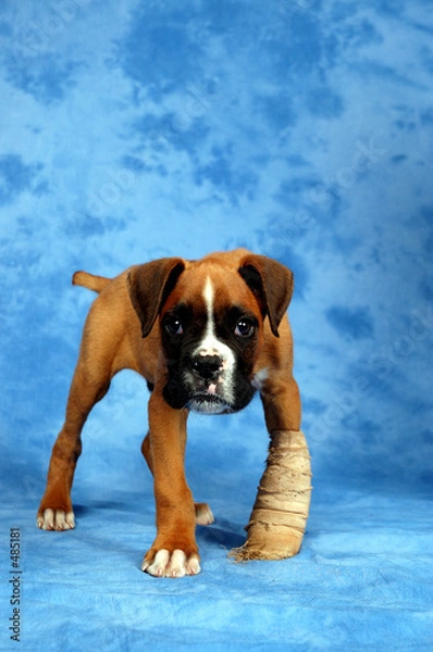 Obraz get well soon.