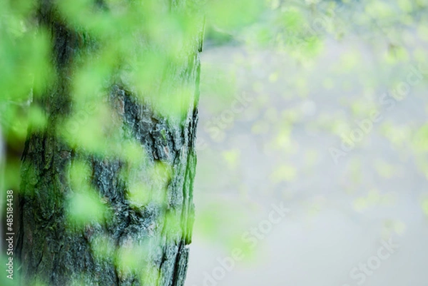 Obraz Hintergrund Frühling