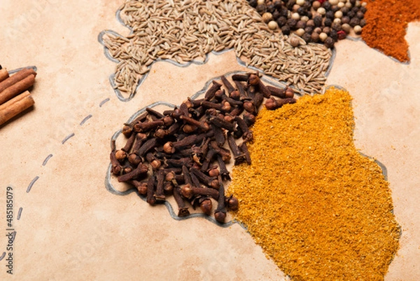 Fototapeta Spice world map. Dried spices. Pepper, turmeric, ginger, cloves