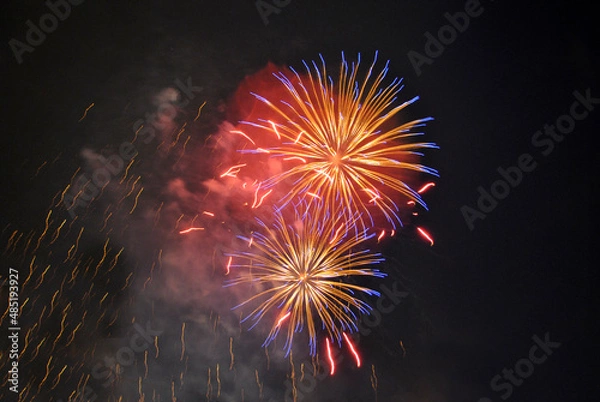 Fototapeta Colorful salute, great explodes in different colors in the night sky, beautifully dissolving in the air.