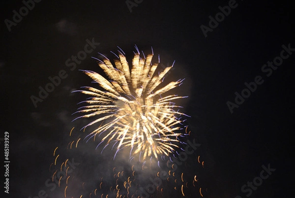 Fototapeta Colorful salute, great explodes in different colors in the night sky, beautifully dissolving in the air.