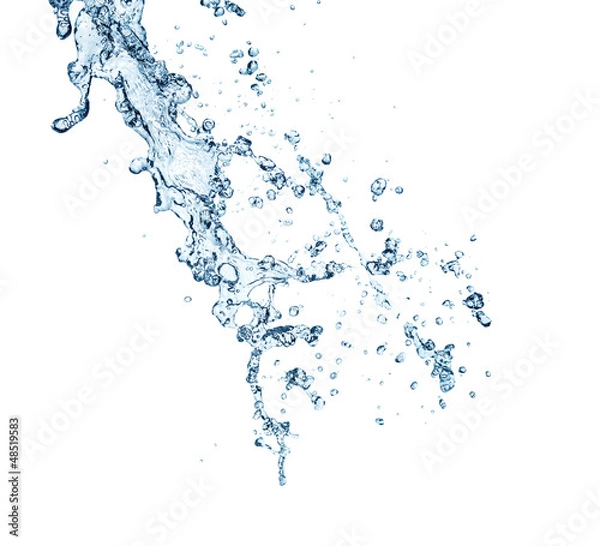 Obraz The splash splashing in the white background