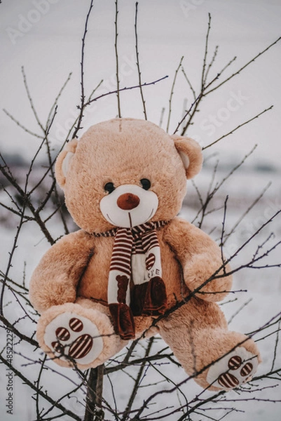 Fototapeta Teddy bear with heart