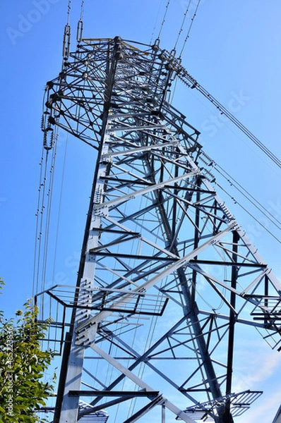 Obraz 丹沢山地の高松山　高松山ハイキングコースを通る送電線　田代幹線
