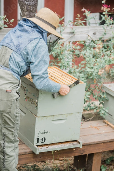 Obraz Beekeeper