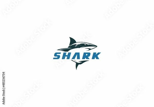 Obraz shark logo template vector ,icon in white background