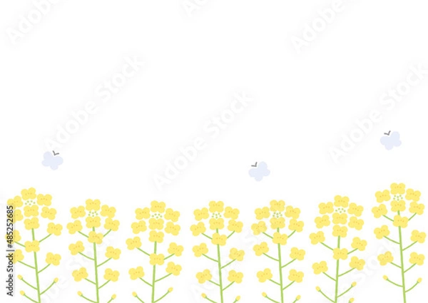 Obraz 菜の花の背景イラスト