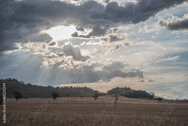Fototapeta clouds over the field
