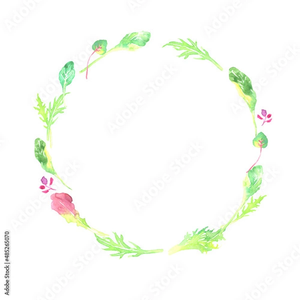 Fototapeta 水彩で描いたベビーリーフの円フレーム