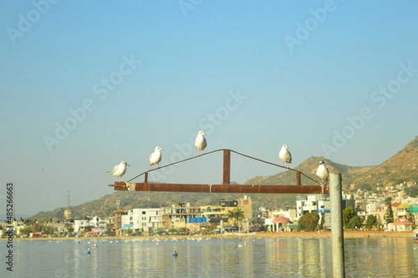 Obraz bridge over the bosphorus strait