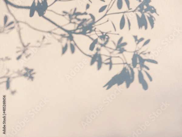 Obraz Tree leaves shadow on wall Nature Abstract background