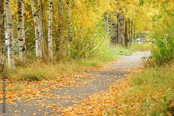 Obraz осенние пейзажи архангельского края  
