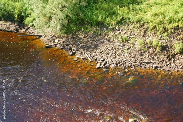 Obraz экологическое северное лето архангельская область 
