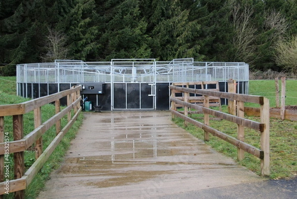 Obraz horse walker, good exercise for horses, equine exercise