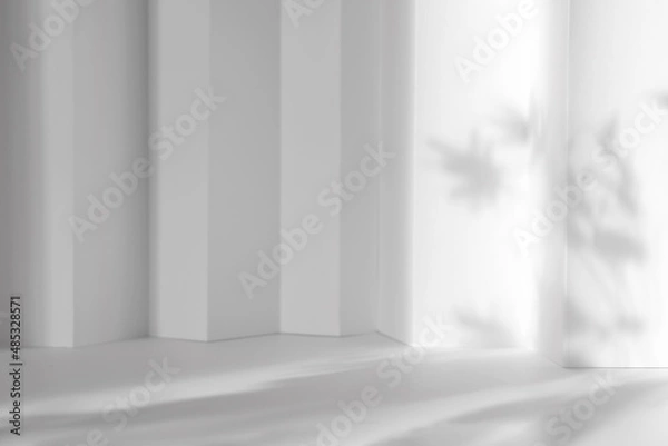 Obraz Abstract white 3d studio background for cosmetic product presentation. Empty grey room with shadows of window. Display product with blurred backdrop.