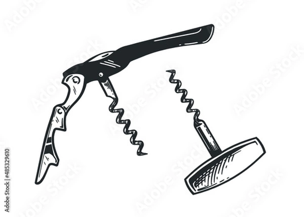 Fototapeta Vector hand drawn sketch of corkscrew set in hand drawn style. Vector vintage engraved illustration.