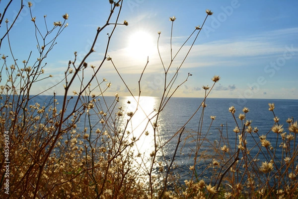 Obraz rayon de soleil 