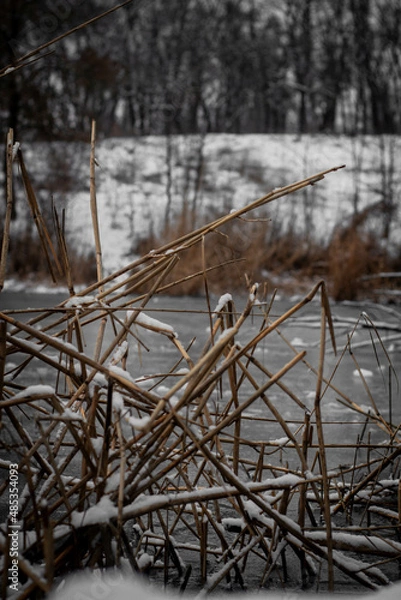 Obraz frozen lake in winter