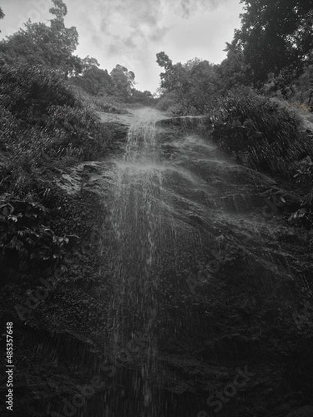 Obraz OLYMPUS DIGITAL CAMERA