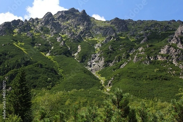Obraz tatry