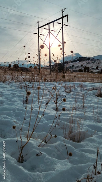 Obraz pier on the beach