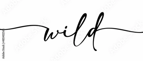 Fototapeta Wild phrase Continuous one line calligraphy minimalistic handwritten with white background