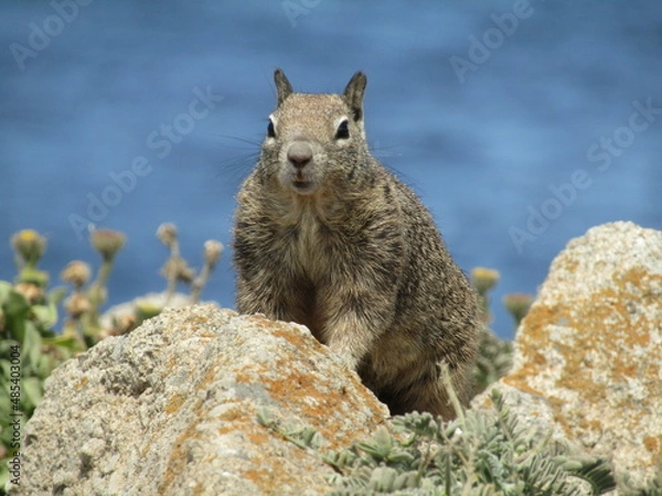 Obraz caught in the act