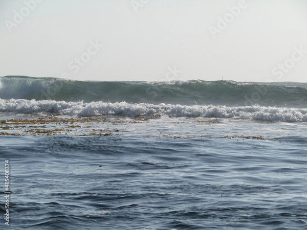 Fototapeta bellowing waves