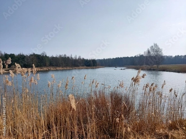 Fototapeta Lake cute view