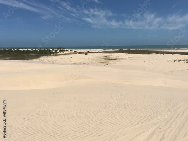 Obraz Mangue seco - Bahia